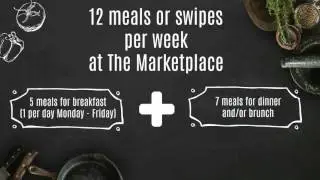 First Year Dining Plan