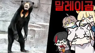 성인 남성은 이 곰을 이길 수 있을까요?