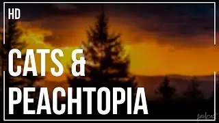 Cats & Peachtopia (2018) - HD Full Movie Podcast Episode | Film Review
