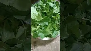 Lafa saag recipe #share