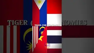 Tiger Cub Economies 🇮🇩🇵🇭🇹🇭🇲🇾🇻🇳 #edit #countries #shorts