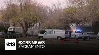 Boy, dog found dead after disturbance call in Sutter County