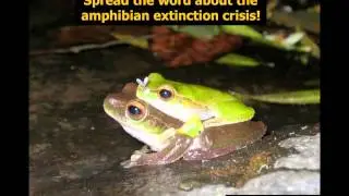Intro to Amphibian Conservation - SAVE THE FROGS! Academy 2013-August-11