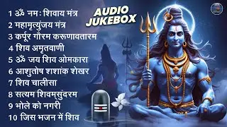स्पेशल शिव भजन | ॐ नम: शिवाय, कर्पुर गौरम करुणावतारम, आशुतोष शशांक शेखर, शिव अमृतवाणी व शिव चालीसा