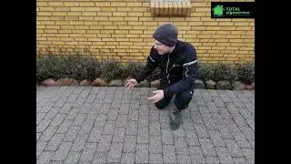 Hvordan fjerner man flisepest