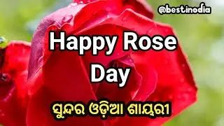 Odia Rose day shayari | Rose day shayari odia | Happy rose day | @BestinOdia
