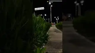 Street light...❤️#night#youtubeshorts #streetlighting ..