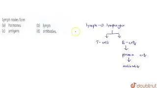 Lymph nodes form | 11 | BODY FLUIDS AND CIRCULATION | BIOLOGY | NCERT FINGERTIPS | Doubtnut