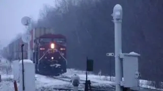 CP 8604 in Utopia (30DEC2010)