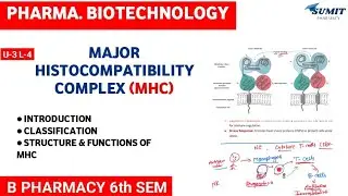 Major Histocompatibility Complex, MHC | Unit-3 Pharmaceutical Biotechnology 6th sem