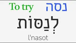 Essential Hebrew Verbs: Hebrew Basics #56