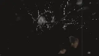 Lexa & Octavia | The 100