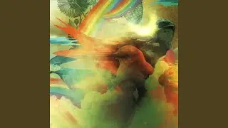 Birds = Magic