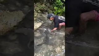 Catching a Massive Haul of Fish in One Epic Fishing Trip! | Catch & Cook Seafood Adventure