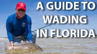 ULTIMATE Guide to Wade Fishing in FLORIDA: Tips and Techniques