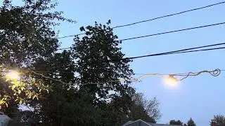 Construction string lights