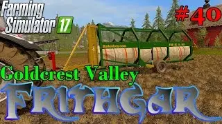 Let's Play Farming Simulator 2017, Goldcrest Valley #40: Trying The Ballenboy!