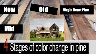 Color Change in pine 4 different types
