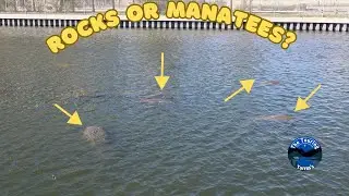RVing Florida | Manatee Viewing Center Apollo Beach, FL | Episode 28