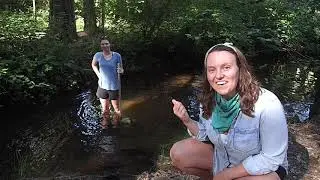 Benthic Macroinvertebrates with Sierra Streams Institute