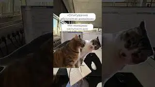 Опитування анонімне, тим часом мій менеджер