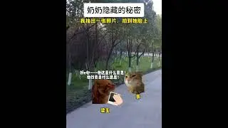 奶奶的秘密 #猫meme小剧场 #猫meme #家庭