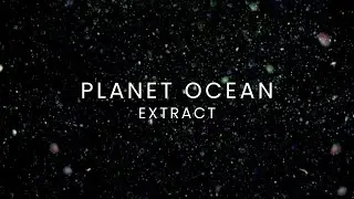 PLANET OCEAN [EN] Extract - Phytoplancton