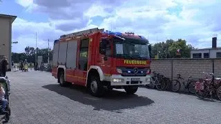 LF 10-2 FF Br&uuml;hl LZ Br&uuml;hl