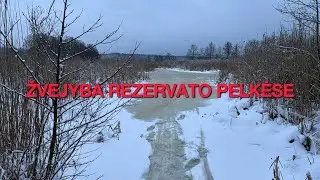 ŽVEJYBA REZERVATE KUR VASARA BUTI DRAUDŽIAMA 2026 #2
