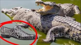 ZiTERA AMAGi| TUZIKORAMO iNKWETO| ZIBAHO IMYAKA IRENGA 50 iBINTU BITANGAJE WAMENYA KU NGONA