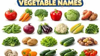 🥦Vegetable Names for Kids 🌽🥕सब्जियों के नाम #VegetableNames#VegetablesForKids#LearnVegetables