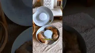 Если вы купили эту пещеру, будьте готовы.