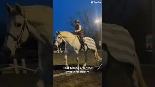 That feeling💗comment your fav season to ride! #horse#equestrianjourney#horseenthusiast 🐴