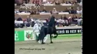 KFPS Hengstenkeuring  Friesian Stallion Championship The Winner is
