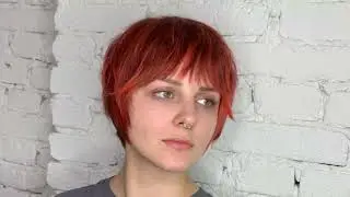 БИКСИ / ПИКСИ БОБ С ЧЕЛКОЙ ШТОРКА КОРОТКАЯ.