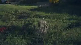 When I just watched Fromsoftware story clip