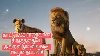 #கழுதைப்புலி பற்றிய சுவரஸ்யா தகவல்கள்#INTERESTING FACT ABOUT HYENA#VOICE OF GK#🙄😳😱😨#