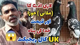 122) Lari Ada Mandi | Lari Ada Kabootar Mandi Lahore| کبوتر منڈی| Kabotar Mandi