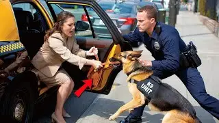 K9 Dog Bites Woman's Purse in Taxi &mdash; The Dark Secret Behind the Attack