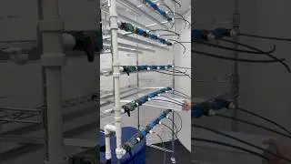 Building a Hydroponic Grow Rack | ASMR Sounds