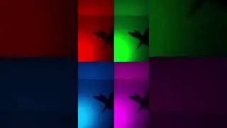 hand dance on song Dil lagana Mana tha please like and subscribe