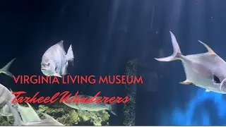 Virginia Living Museum Newport News