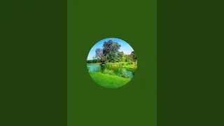 Katihar City, Bihar, Beautiful Nature Safari is live