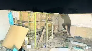 مراحل نصب سقف جفتگاه کبوتران مسافتی در مشهد!ساخت آغل کفتر 