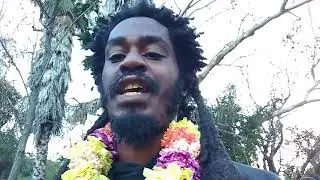 King Noble enlightenment is seeing Black Divinity