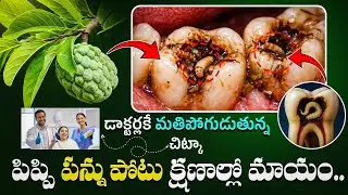 పిప్పి పన్ను పోటు క్షణాల్లో మాయం | Tips To Remove Toothache Naturally | Ksk Home