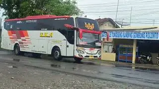 Bus eka cepat
