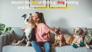 Master the Art of Petting: Dog Petting and Body Handling Techniques
