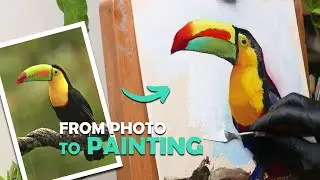 How to paint Toucan using Reference Photo | Oil Painting