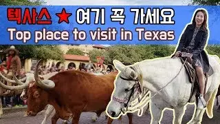 [3] 텍사스 달라스 여행 필수코스!! 포트워스 스탁야드(Fort Worth Stockyards)